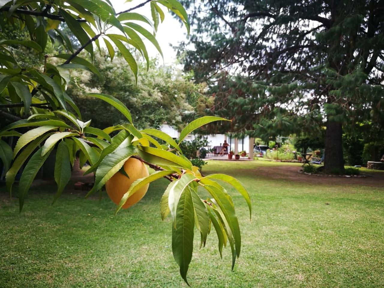 El Mana Villa Bialet Massé Dış mekan fotoğraf